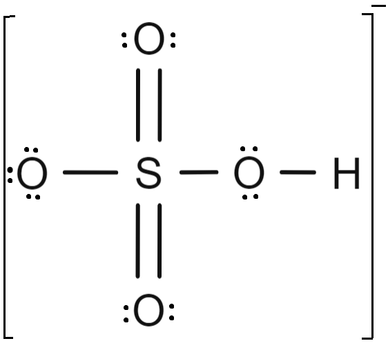 <p>HSO4^-1</p>