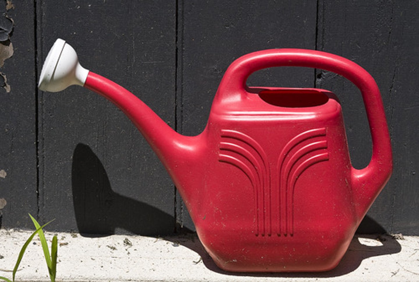 <p>a watering can</p>