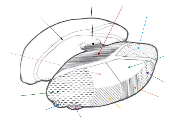 <p>What is the yellow arrow pointing to?</p>
