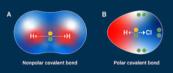<p>Non- Polar Covalent</p>
