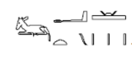 term image