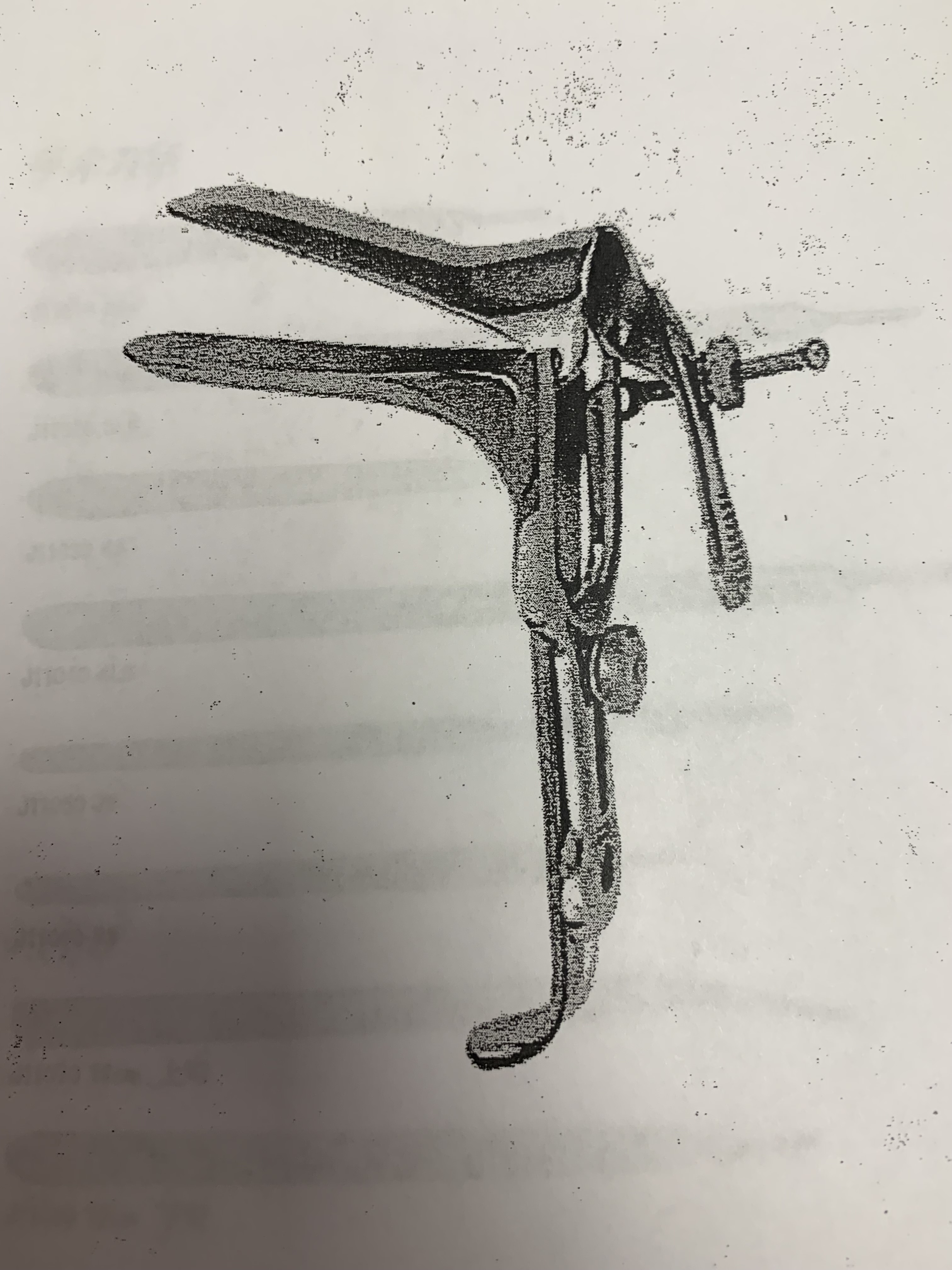 term image