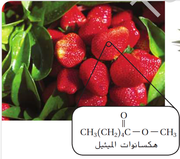 <p>هكسانوات الميثيل </p>