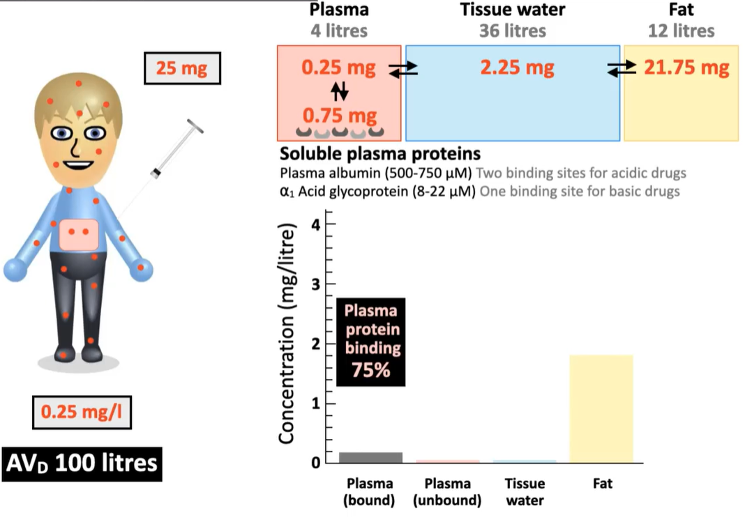 <p>A 25 mg dose of a drug is administered to a young, health patient (4 L plasma). After drug distribution, 0.25 mg of the drug remains unbound in the plasma, and 0.75 mg are bound by plasma protein. The rest has been distributed into tissue water and fat in the body.</p><p>What is the drug concentration in the plasma? What is the AV<sub>D</sub>?</p>