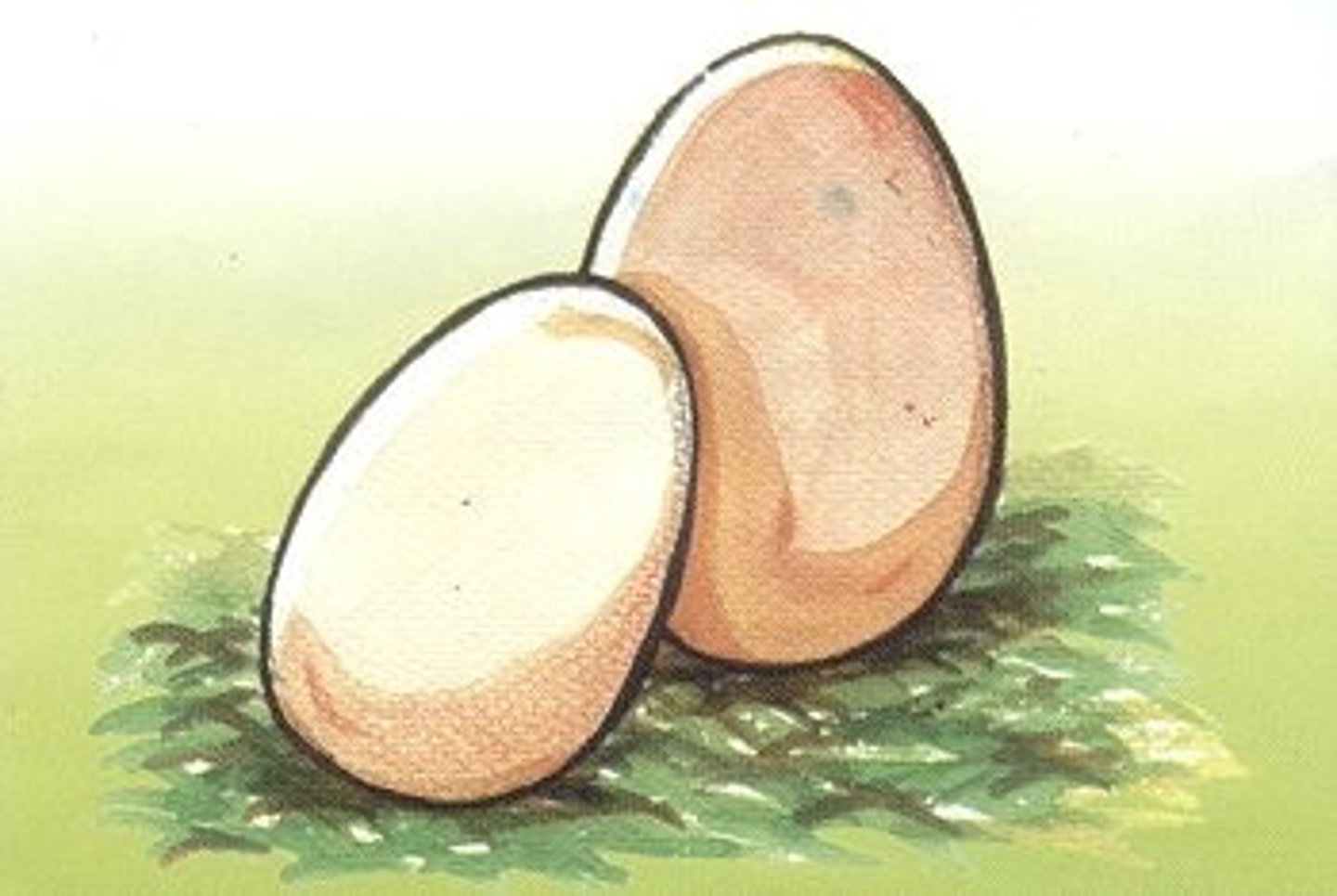 <p>ข ไข่</p><p>khaw khai (egg)</p><p>[kh / k] high class</p>