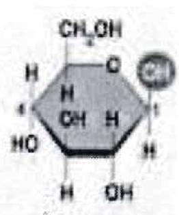 What is this?
