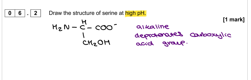 <ul><li><p>High pH = Lots of OH<sup>- </sup>, not a lot of H<sup>+</sup></p></li></ul><p></p>