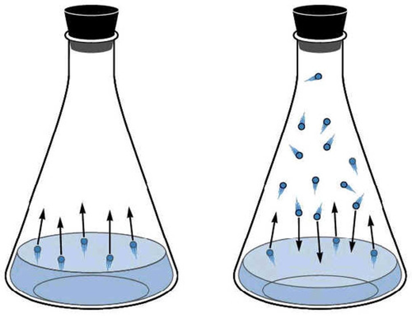 <p>- pressure exerted by vapor when in equillibrium with liquid (or solid) phase</p><p>- VAPORIZATION must be in equilibrium with CONDENSATION</p><p>- **closed container</p>