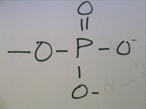 <p>will make hydrogen bonds (polar), very electronegative, found in energy molecule ATP</p>