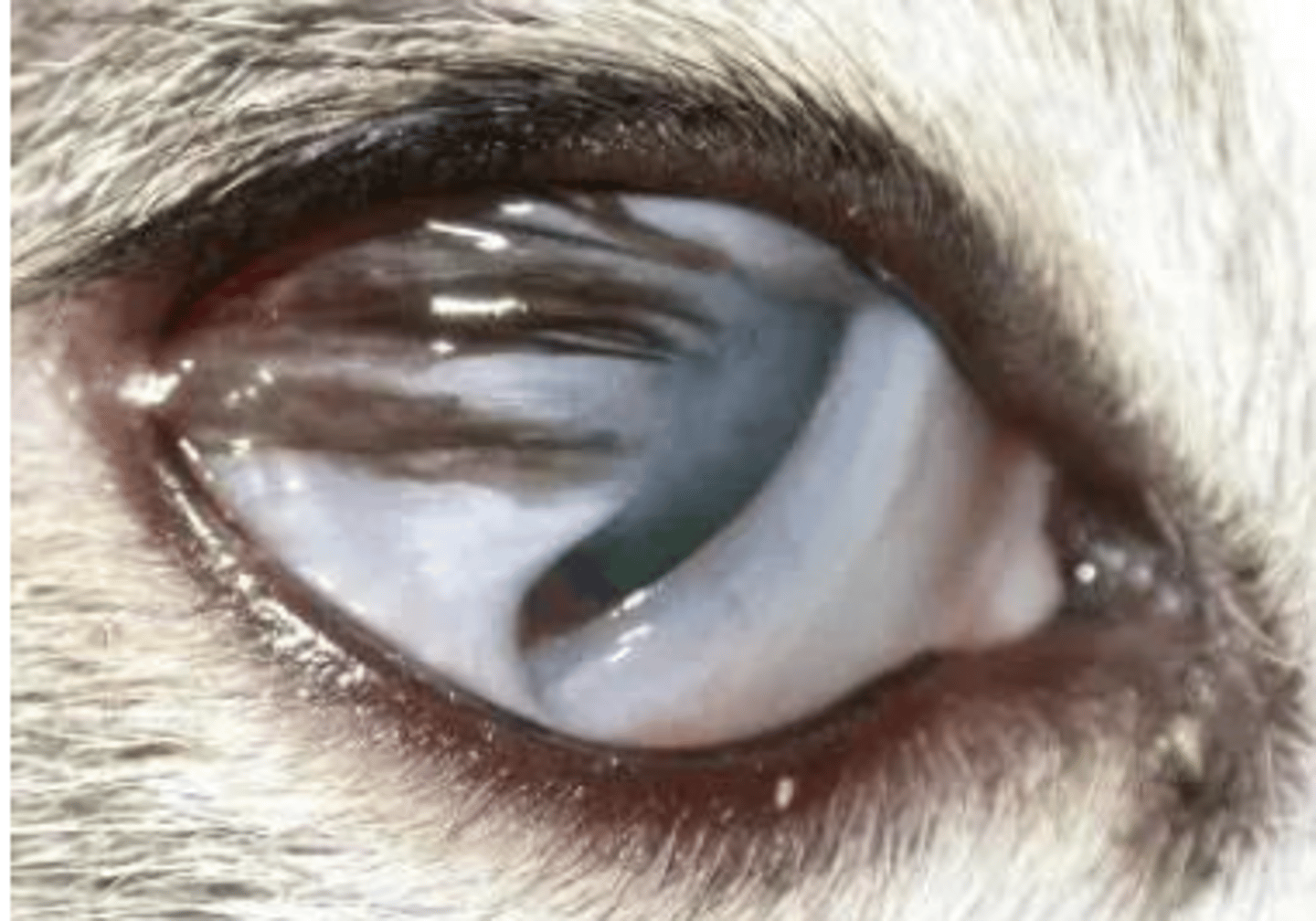 <p>what is this called?</p>