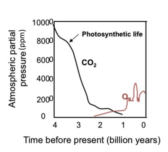 <ul><li><p>3.6-3.8 billion years ago</p></li><li><p>before the atmosphere became oxygenated</p><ul><li><p>2.4 bya</p></li></ul></li></ul><p></p>