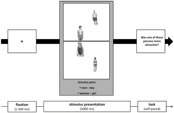<p>Question not used to judge pedophilia, used to keep focus between eye movement</p>