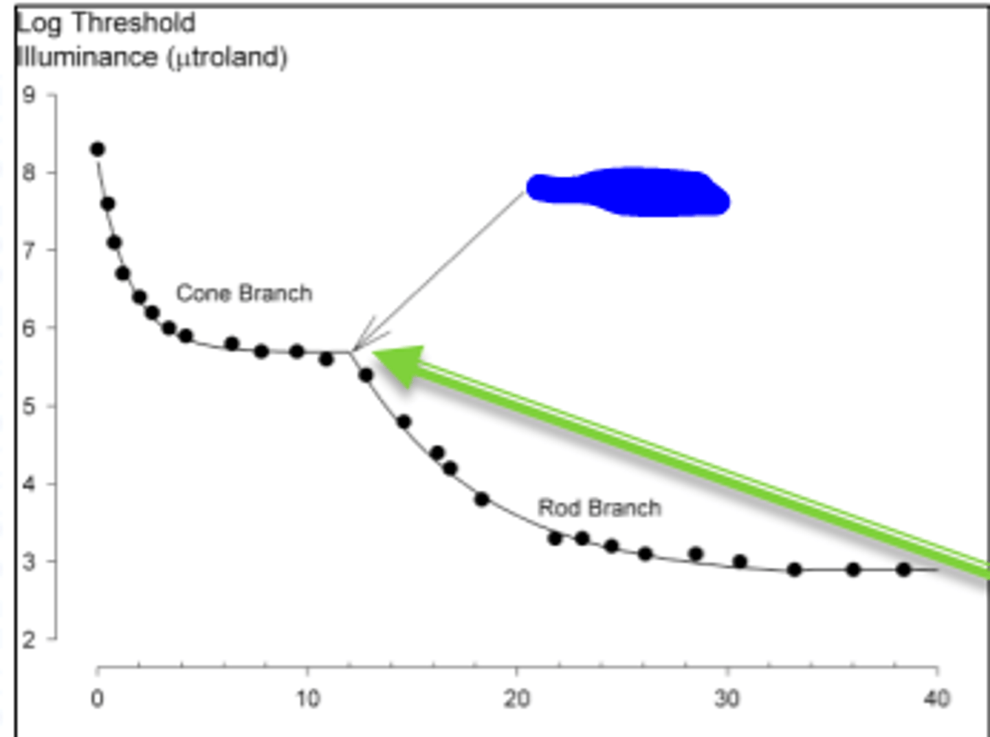 <p>point in the dark adaptation curve where rods become more sensitive than cones. Divides the portion of the dark adaptation curve where the patient detected the test flash using cones, and the where the patient detected the test flash using rods. Occurs at about 12 minutes</p>