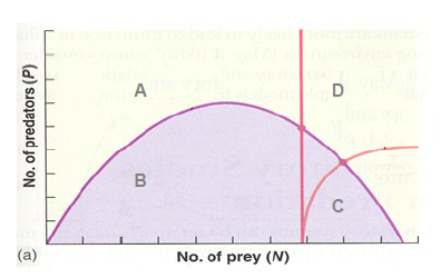 <p>In the figure, in which area do both predator and prey populations increase?</p>