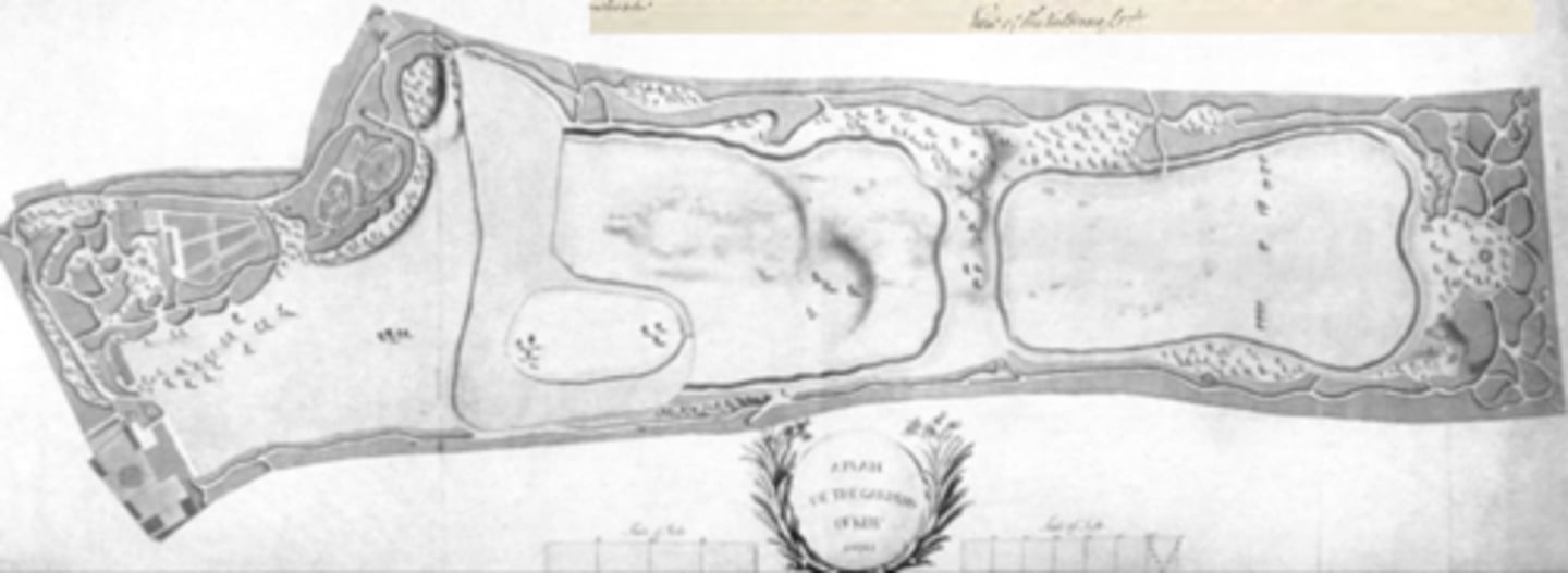 <p>Chinese/Anglo garden</p>