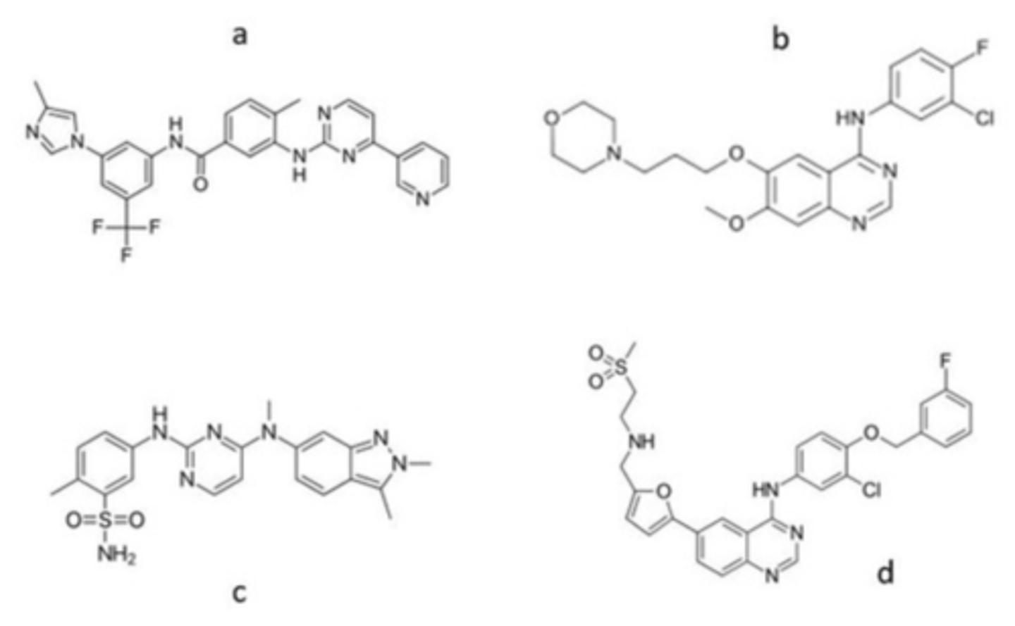 <p>Which compounds contain a 4-anilinoquinazoline pharmacophore</p>