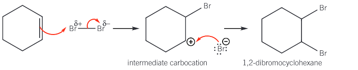 <ol><li><p><span>π bond in alkene contains localised electrons above and below plane of the two carbon atoms to produce an area of <strong>high electron density</strong></span></p></li><li><p><span><strong>Dipole is induced </strong> in non-polar bromine molecule, to make Br<sub>2</sub> <strong>polar</strong></span></p></li><li><p><span>Br<sub>2</sub> is now an <strong>electrophile</strong> </span></p></li></ol><p></p>
