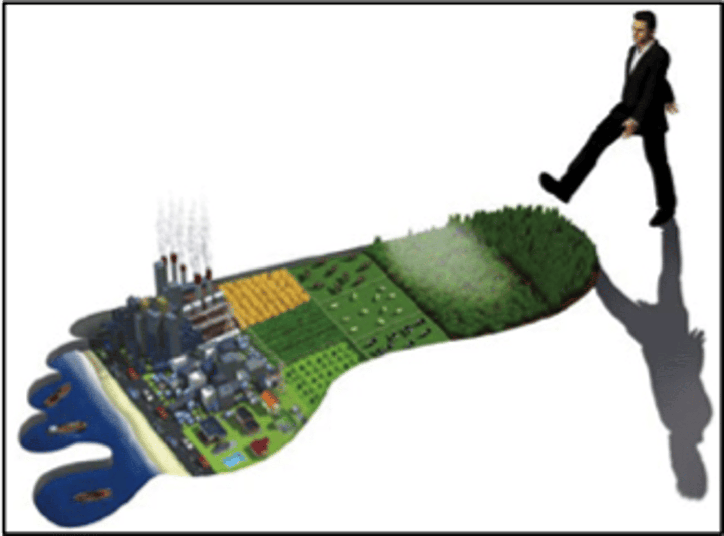 <p>The total area of productive land and water required to provide raw materials that a population consumes and to dispose of the waste produced.</p>