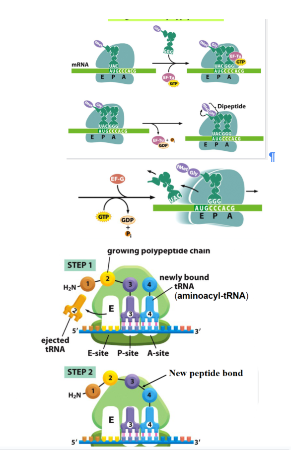 <p>What is this </p>