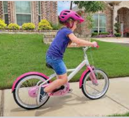 <p>rode a bike</p>