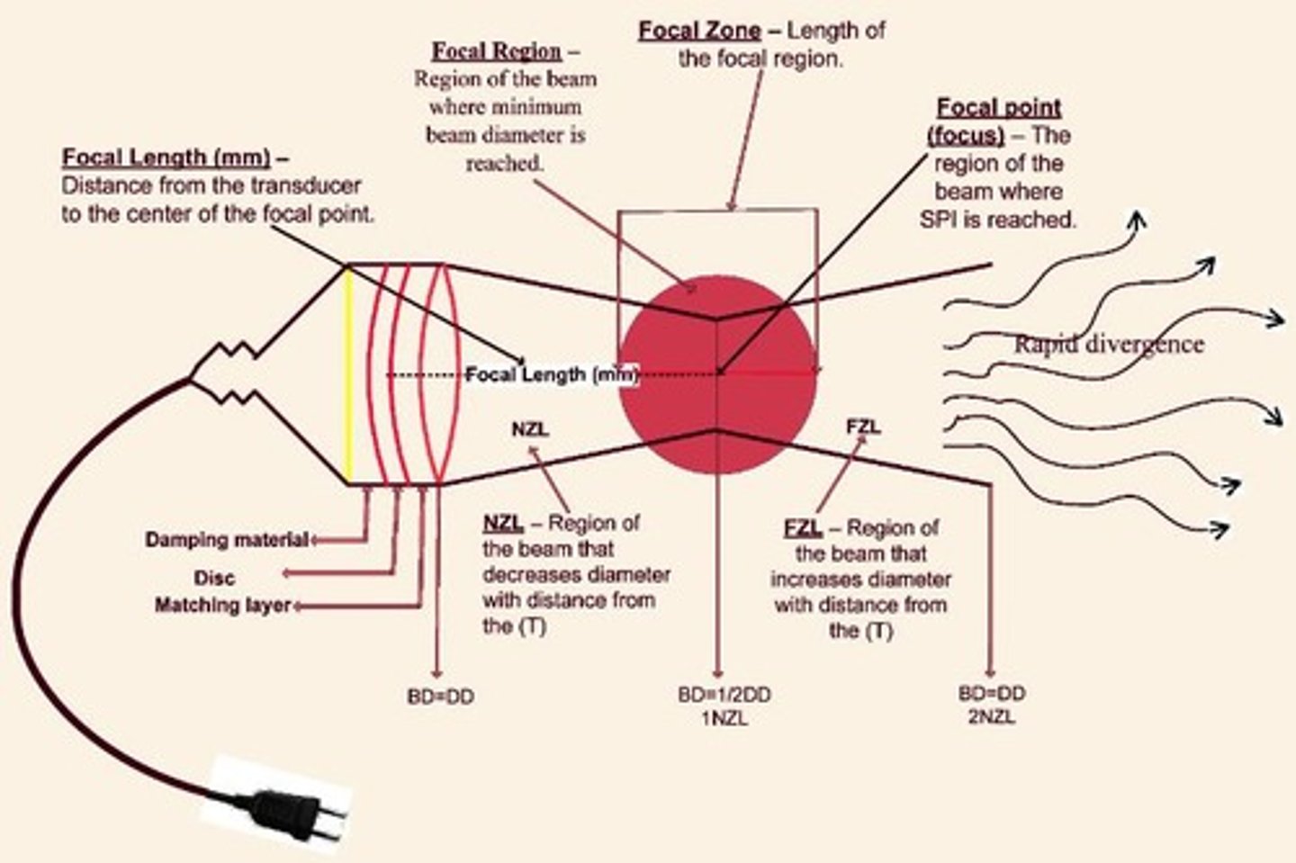 <p>Narrowest beam diameter location in ultrasound.</p>