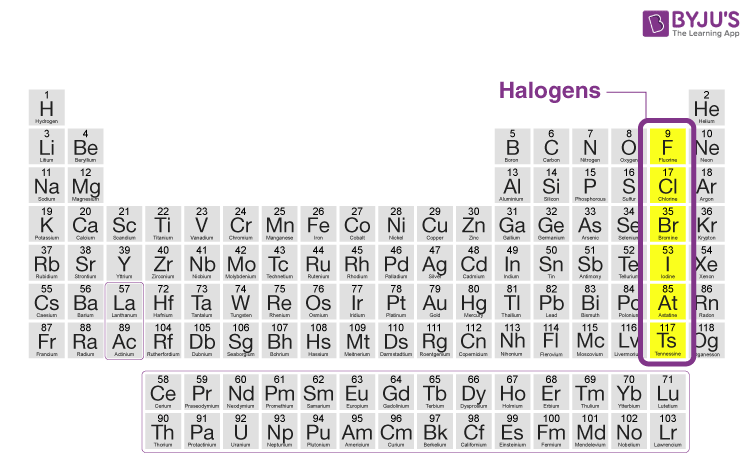 <p></p><ul><li><p>Highly reactive nonmetals</p></li><li><p>Exist in all three states of matter</p></li><li><p>Have seven valence electrons</p></li><li><p>High electronegativity</p></li><li><p>7 valence electrons</p></li></ul>