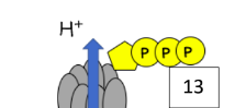 <p>What process is happening here? Where is the energy coming from?</p>