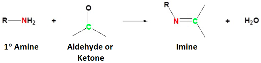 <p>imines </p>
