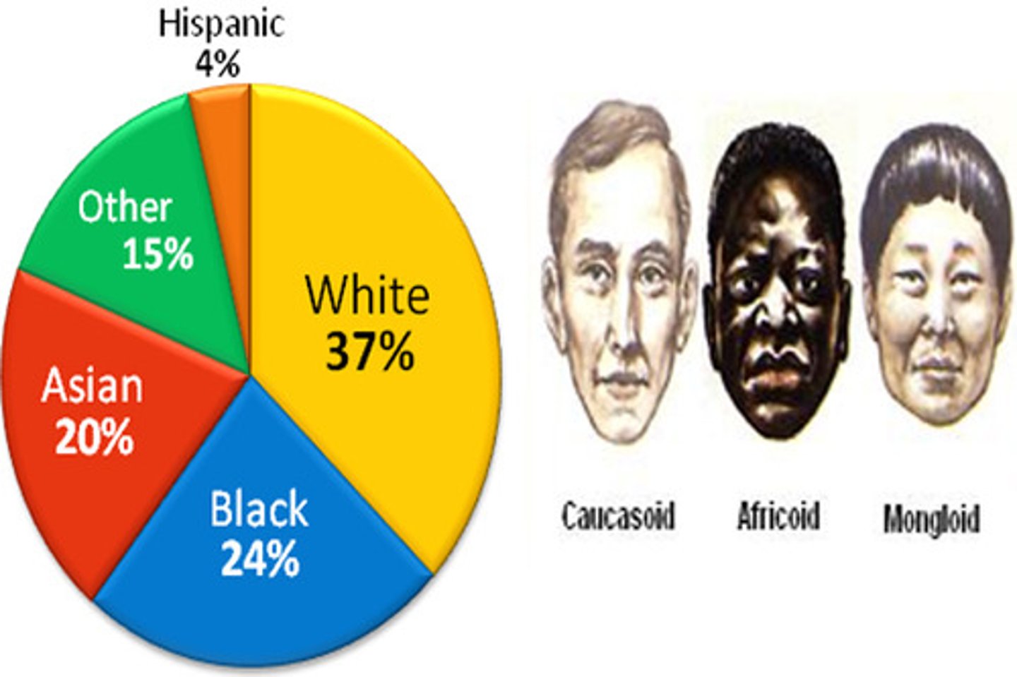 <p>Race is a physical characteristic that has been deemed to put you in one group versus another. It can be seen as socially-constructed. Examples include Black, White, etc.</p><p>Ethnicity is the cultural group that you belong to. It may also relate to your country of origin. Examples include Jewish, Japanese-American, Irish, etc.</p>