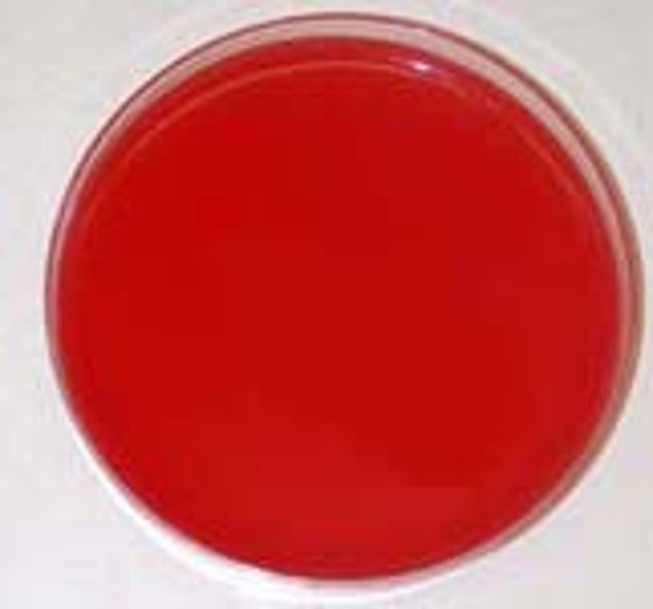<p>5% sheep blood (growth factors)</p>