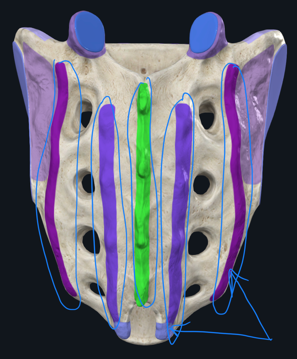 <p>these are?</p>