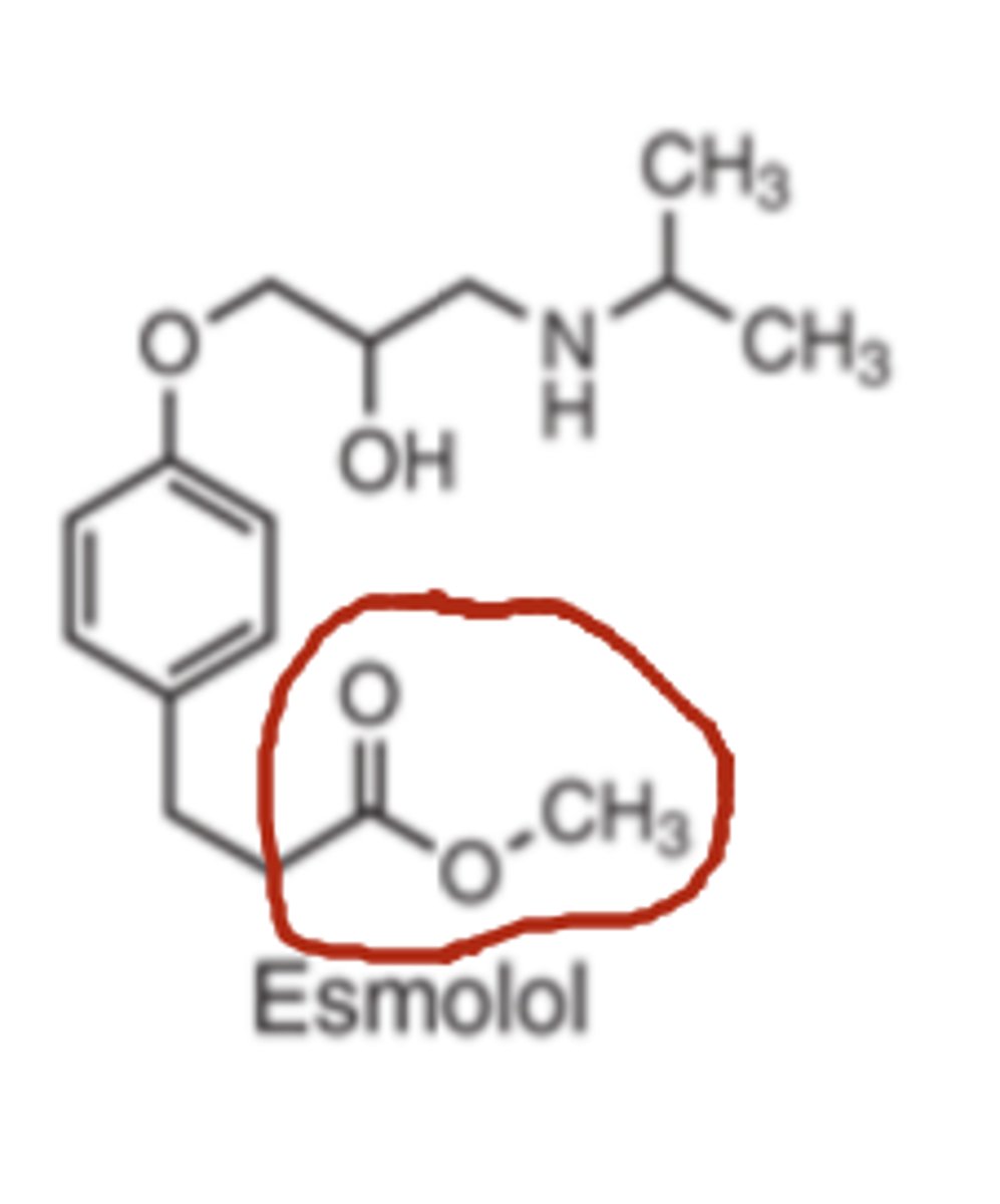 <p>- methyl ester</p><p>Makes it susceptible to hydrolysis by serum esterase's.</p><p>The acid metabolite generated is essentially inactive thus, esmolol has a half-life of 8 minutes</p>