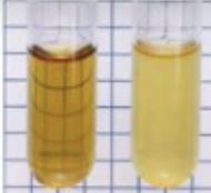 <p>What is dispersed cells?</p>