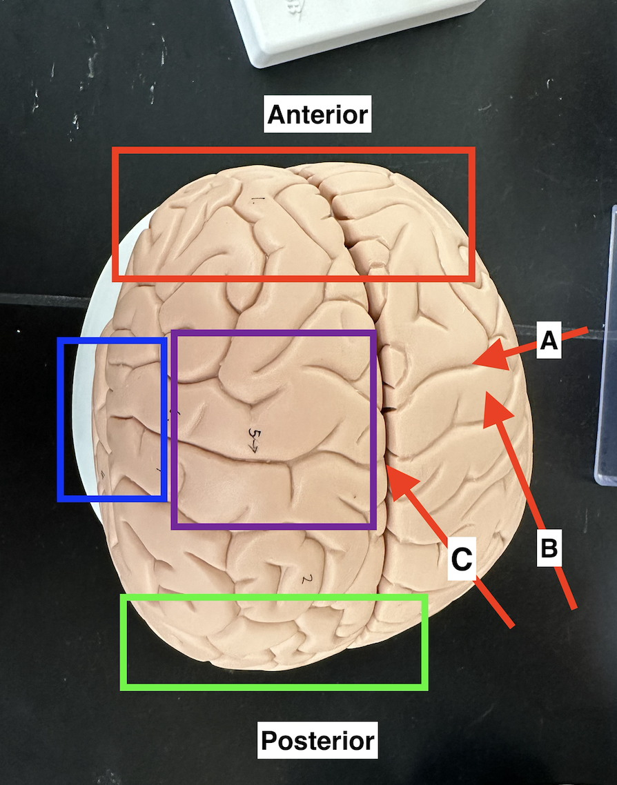 <p>Name point B.</p>