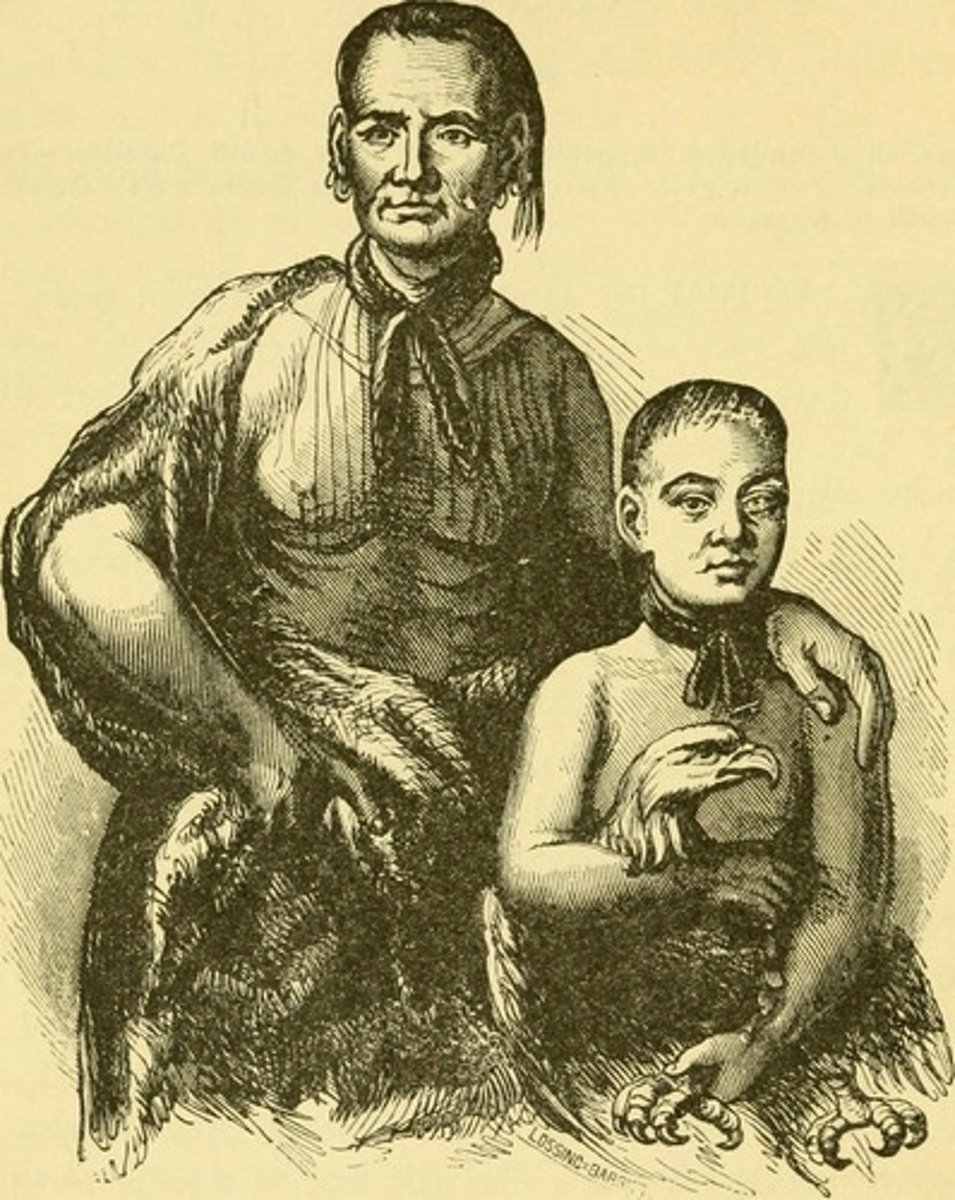 <p>*Chief of the Yamacraw Indians<br>*Granted land to Oglethorpe to begin the colony</p>