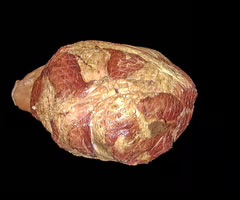 knowt flashcard image