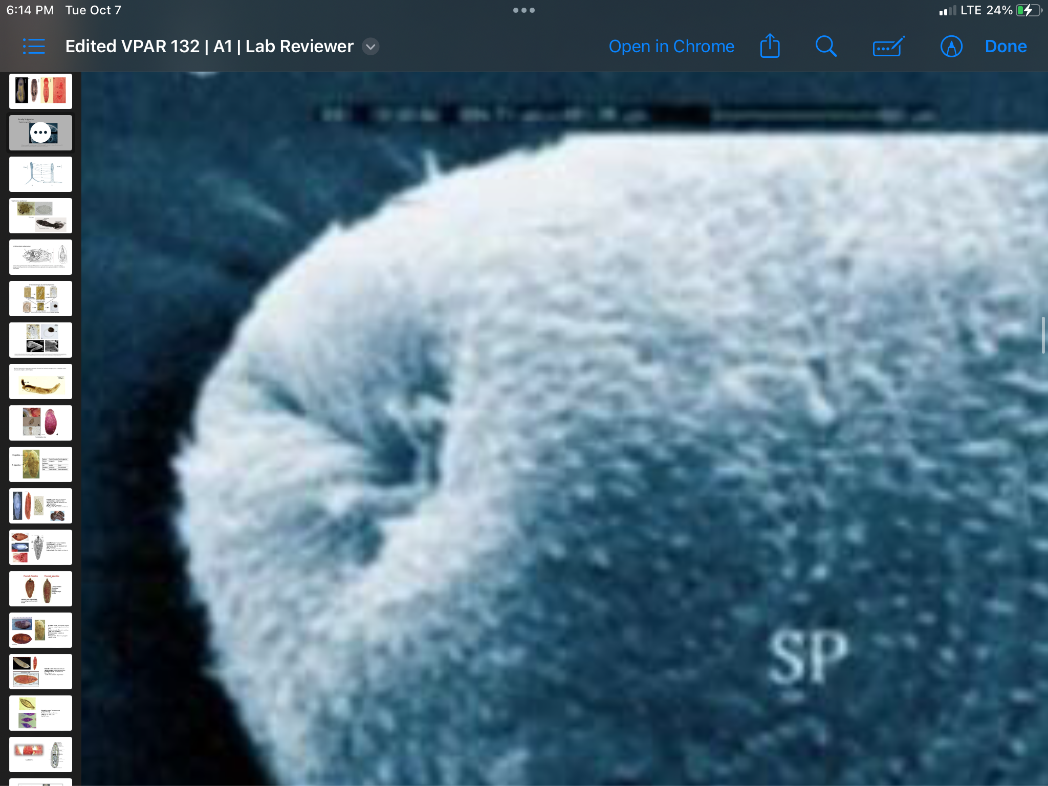 term image