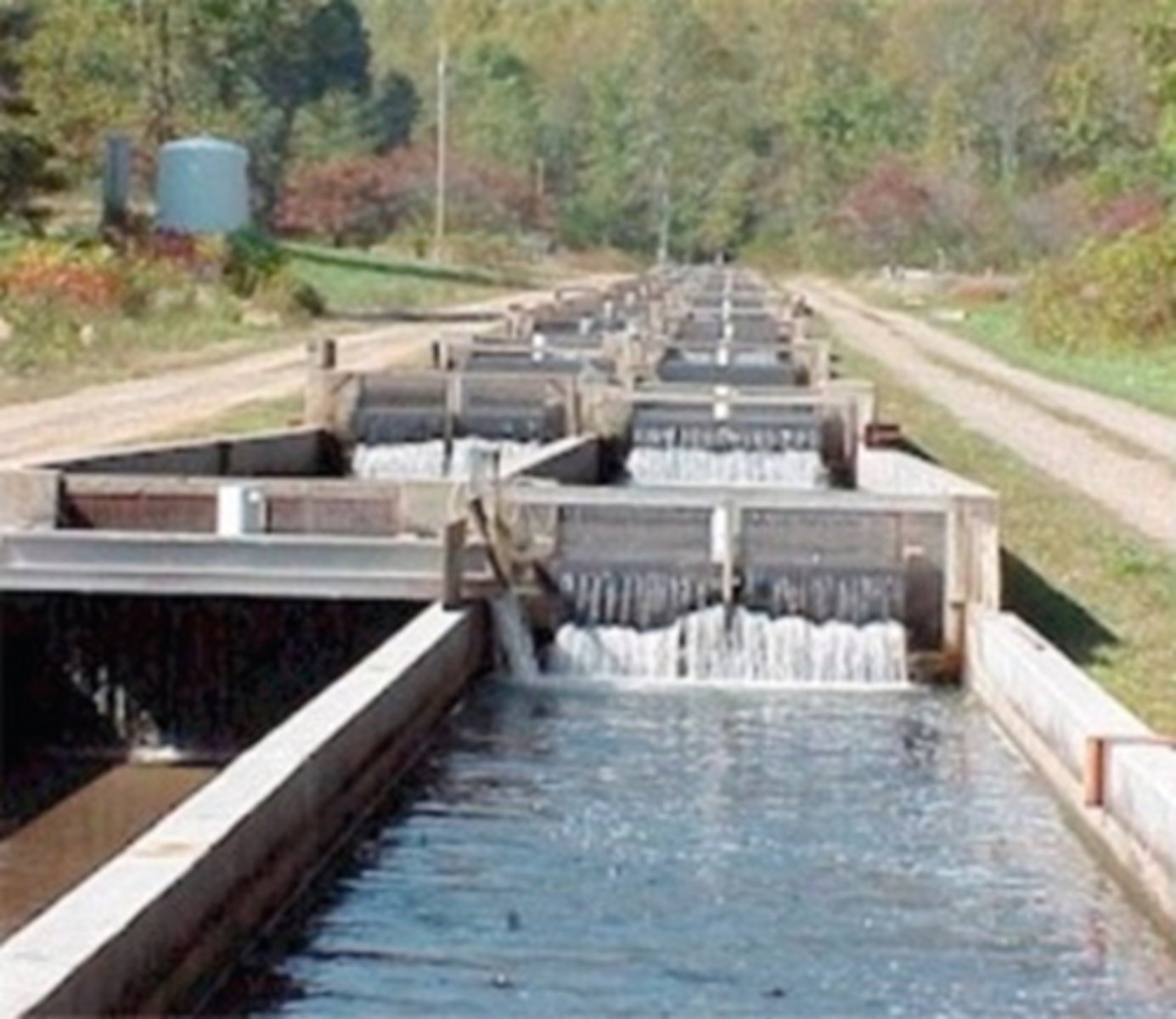 <p>- Rectangular structures</p><p>- Single pass system</p><p>- Built above or below ground</p><p>- Cement, fibreglass or wood</p><p>- Require large volumes of water that is high quality</p><p>- Gravity flow</p><p>Tend to be in mountainous regions (e.g. Idaho).</p><p>- more intense</p>