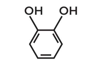 <p><strong>POSITIONAL ISOMERS</strong></p><p>• Molecular Formula: <strong>C6H6O2</strong></p>