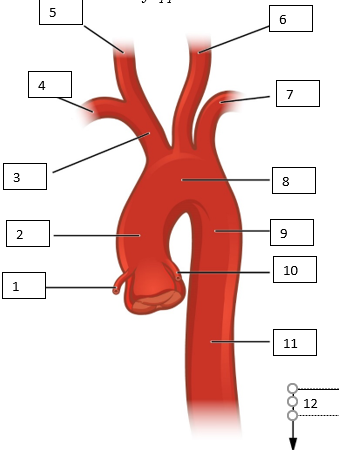 <p>3</p>