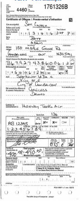 <p>What is this ticket called? And what is the colour and name of the other ticket associated with this ticket?</p>