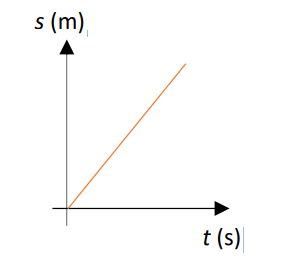 <p>describe the displacement and movement of the object in the graph</p>