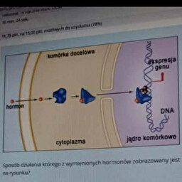 <p><span><span>sposob dzialania jakiego hormonu?</span></span></p>