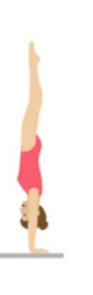 <p>An example of isometric muscle contraction</p>