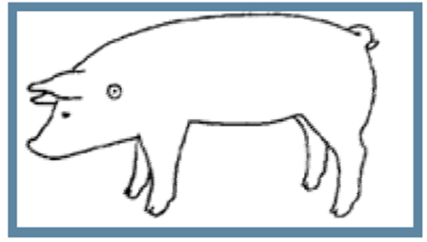 <p>neck is the most accessible site for IM injection in swine</p>