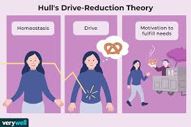 <p>A psychological concept that suggests motivation arises from the desire to reduce internal tensions caused by unmet biological needs, leading to behaviors that fulfill those needs. </p>