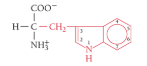 <p>What is the name of the amino acid? </p>