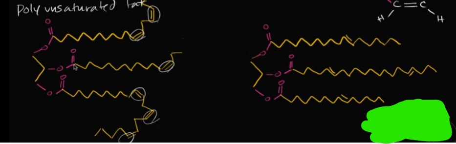 <p>Why is it that these two structures are different in their shape, but one of them is still linear and NOT an unsaturated fat?</p>