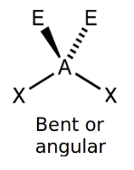 <ul><li><p>Bent/Linear/V-shape</p></li><li><p>104.5°</p></li></ul><p></p>