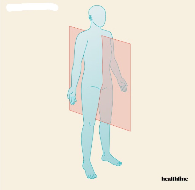 <p>What plane is this? </p>